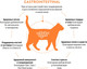 Миниатюра изображения товара Сухой ветеринарный корм для кошек Grandorf Vet Cat Gastrointestinal (400г)