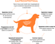 Миниатюра изображения товара Сухой корм для собак Grandorf Vet Dog Gastrointestinal (3кг)