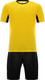 Миниатюра изображения товара Футбольная форма Torres Classic F-1011-072-L (L, желтый/черный)