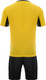 Миниатюра изображения товара Футбольная форма Torres Classic F-1011-072-L (L, желтый/черный)