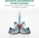 Миниатюра изображения товара Подушка на стул ForErgo Контур PIL037 (серый)