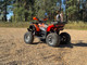 Миниатюра изображения товара Квадроцикл RAM ATV250 (оранжевый металлик)