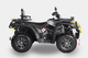 Миниатюра изображения товара Квадроцикл RAM ATV570-1