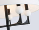 Миниатюра изображения товара Люстра Ambrella LH75150/5 BK/FR (черный/белый матовый)