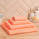 Миниатюра изображения товара Полотенце Lilia Бордюр Махровое 50x90 400г (коралл)
