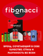 Миниатюра изображения товара Комплект батареек Fibonacci АА LR6/40 / FB-LR6-B40 (4шт)