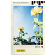 Миниатюра изображения товара Фотопленка Fujifilm Colorfilm Instax Mini Photo Slide (10 листов)