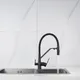 Миниатюра изображения товара Смеситель Shevanik S278H (черный)