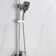 Миниатюра изображения товара Душевая система со смесителем Shevanik S7036L (сатин)