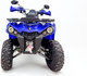 Миниатюра изображения товара Квадроцикл Motax Grizlik 200 Ultra Big (серый/синий)