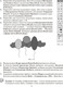 Миниатюра изображения товара Рабочая тетрадь Аверсэв Информатика. 8 класс 2025, мягкая обложка (Овчинникова Лариса)