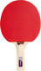Миниатюра изображения товара Ракетка для настольного тенниса Giant Dragon Meteo 1 Star / 51.621.04.1 (прямая)