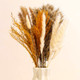 Миниатюра изображения товара Букет из сухоцветов No Brand Изящность 5 видов / 10616142
