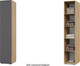 Миниатюра изображения товара Шкаф-пенал Modern Челси Ч12 (золотой дуб/графит)