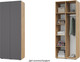 Миниатюра изображения товара Шкаф Modern Челси Ч20 (золотой дуб/графит)