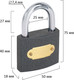 Миниатюра изображения товара Замок навесной Грандмастер Стандарт / 671292