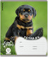 Миниатюра изображения товара Тетрадь Erich Krause Щенки / 59974 (12л, линейка)