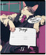 Миниатюра изображения товара Тетрадь Erich Krause Cat Boss / 63261 (18л, линейка)