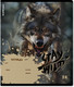 Миниатюра изображения товара Тетрадь Erich Krause Stay Wild / 63278 (24л, линейка)