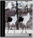 Миниатюра изображения товара Тетрадь Erich Krause Энциклопедия, Красная книга России. Птицы / 59968 (48л, клетка)