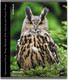 Миниатюра изображения товара Тетрадь Erich Krause Энциклопедия, Красная книга России. Птицы / 59968 (48л, клетка)