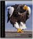 Миниатюра изображения товара Тетрадь Erich Krause Энциклопедия, Красная книга России. Птицы / 59968 (48л, клетка)