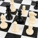 Миниатюра изображения товара Шахматы Darvish Шахматы / SR-S-417