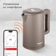 Миниатюра изображения товара Электрочайник Redmond SkyKettle KM231S (серо-коричневый)