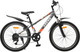 Миниатюра изображения товара Велосипед Arena Flash 24 2026 (12, графитовый, разобранный, в коробке)