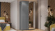 Миниатюра изображения товара Шкаф-купе ТриЯ Оскар Тиффани Т2 1200 / 282719 ( серебро/серый графит/графит матовый)