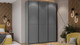 Миниатюра изображения товара Шкаф-купе ТриЯ Оскар Тиффани Т2 1800 / 282746 (черный/серый графит/графит матовый)