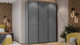 Миниатюра изображения товара Шкаф-купе ТриЯ Оскар Тиффани Т2 2100 / 282754 (черный/серый графит/графит матовый)