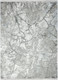 Миниатюра изображения товара Ковер Radjab Carpet Марсель Прямоугольник NP 371 (3x4, Grey)