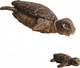 Миниатюра изображения товара Фигурка коллекционная Magic Manufactory Ocean Черепаха с черепашонком (бежевый)