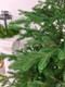 Миниатюра изображения товара Ель искусственная National Tree Company Изящная 180см / NWPE-LE180