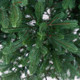 Миниатюра изображения товара Ель искусственная National Tree Company Изящная 180см / NWPE-LE180
