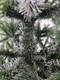 Миниатюра изображения товара Ель искусственная National Tree Company Авелина с лампочками заснеженная 240см / Авл с ламп-240