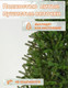 Миниатюра изображения товара Ель искусственная National Tree Company Авелина 180см / АВ-180