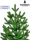 Миниатюра изображения товара Ель искусственная National Tree Company Авелина 180см / АВ-180