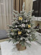 Миниатюра изображения товара Ель искусственная National Tree Company Авелина заснеженная 60см / Авл/ЗСН-60