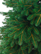 Миниатюра изображения товара Ель искусственная National Tree Company Дворянская Премиум 185см / Двр-185