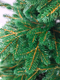 Миниатюра изображения товара Ель искусственная National Tree Company Дворянская Премиум 185см / Двр-185