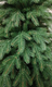 Миниатюра изображения товара Ель искусственная National Tree Company Дворянская Премиум 185см / Двр-185