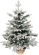 Миниатюра изображения товара Ель искусственная National Tree Company Венера заснеженная 65см / ВНР/ЗСН-65