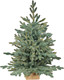 Миниатюра изображения товара Ель искусственная National Tree Company Рождественская Премиум 90см / РД/ПР-ГЛ-90 (голубой)