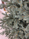 Миниатюра изображения товара Ель искусственная National Tree Company Форест 230см / ФОР/ГЛ-230 (голубой)