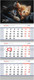 Миниатюра изображения товара Календарь настенный BG Милые котята / 380976 (2026г)