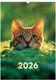 Миниатюра изображения товара Календарь настенный BG Коты / 381923 (2026г)
