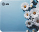 Миниатюра изображения товара Коврик для мыши Cactus Daisies (CS-MP-D07S)