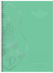 Миниатюра изображения товара Тетрадь BG Волшебник Изумрудного города / Т4гр96_вл 64332 (96л)